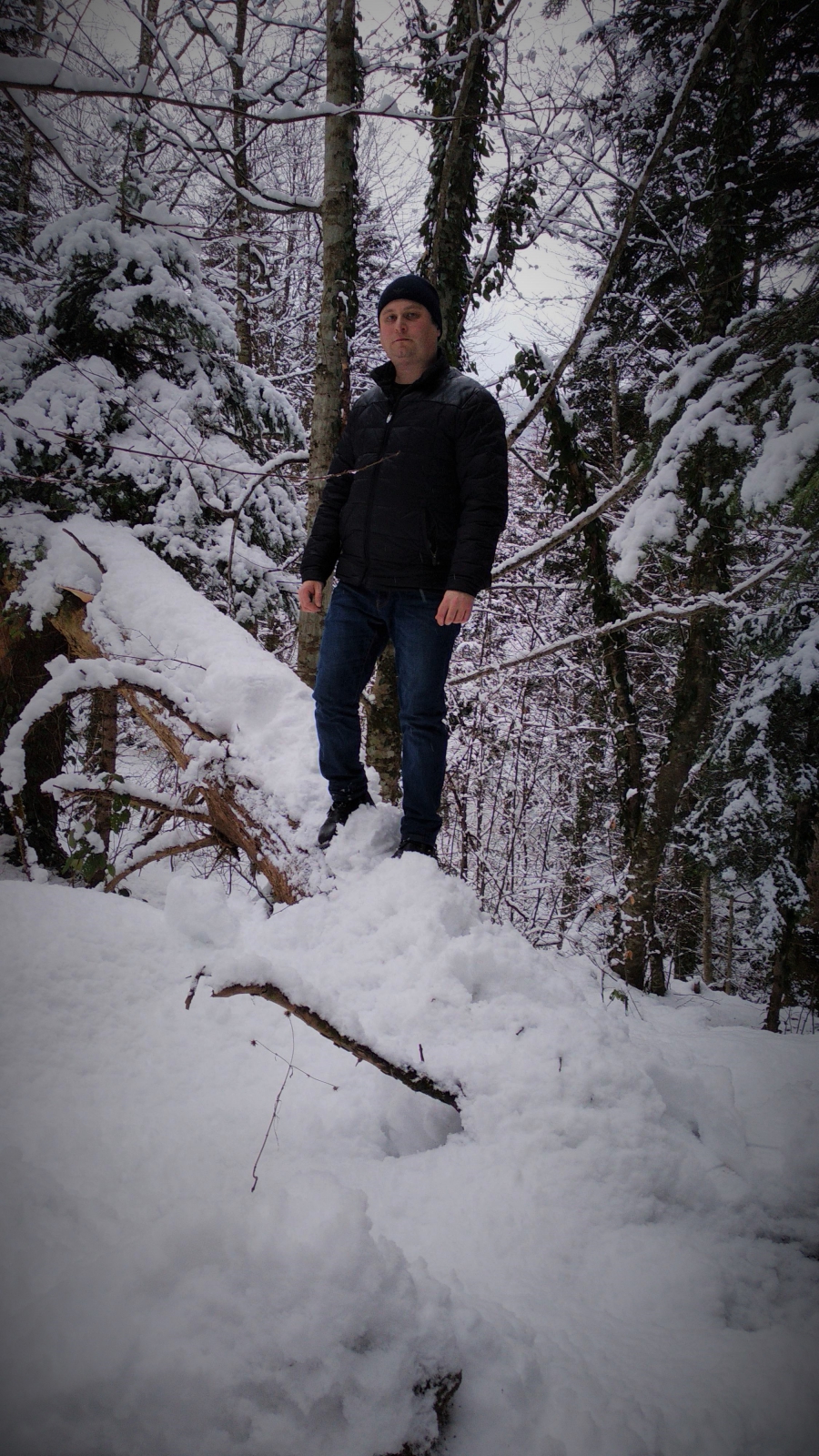 Зима, лес, отдых в горах. Цица. 